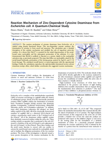 Reaction Mechanism of Zinc-Dependent Cytosine Deaminase from