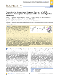 ′,5′- Prospecting for Unannotated Enzymes: Discovery of a 3