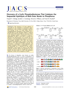 Discovery of a Cyclic Phosphodiesterase That Catalyzes the
