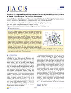 Molecular Engineering of Organophosphate Hydrolysis Activity from