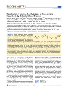 ‑Aminodeoxyfutalosine in Menaquinone Deamination of 6 Biosynthesis by Distantly Related Enzymes