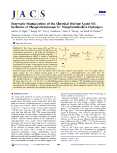 Enzymatic Neutralization of the Chemical Warfare Agent VX: