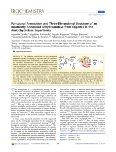 Functional Annotation and Three-Dimensional Structure of an