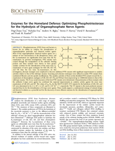 Enzymes for the Homeland Defense: Optimizing Phosphotriesterase