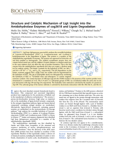 Structure and Catalytic Mechanism of LigI: Insight into the