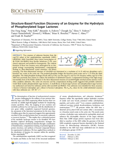Structure-Based Function Discovery of an Enzyme for the Hydrolysis