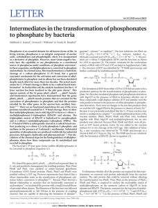 LETTER Intermediates in the transformation of phosphonates to phosphate by bacteria