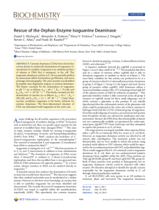 Rescue of the Orphan Enzyme Isoguanine Deaminase