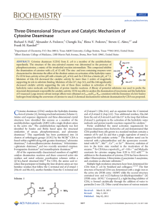 Three-Dimensional Structure and Catalytic Mechanism of Cytosine Deaminase