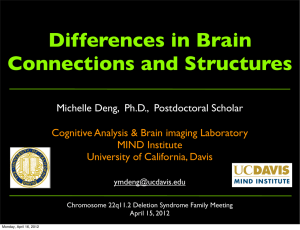 Differences in Brain Connections and Structures Cognitive Analysis &amp; Brain imaging Laboratory