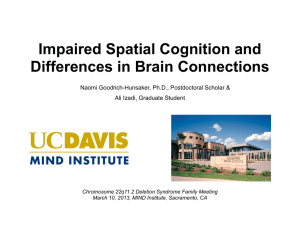 Impaired Spatial Cognition and Differences in Brain Connections Ali Izadi, Graduate Student