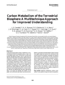 Carbon Metabolism of the Terrestrial Biosphere: A Multitechnique Approach for Improved Understanding