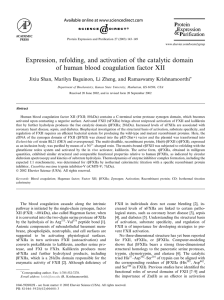 Expression, refolding, and activation of the catalytic domain