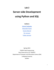 Server-side Development using Python and SQL  Lab 2