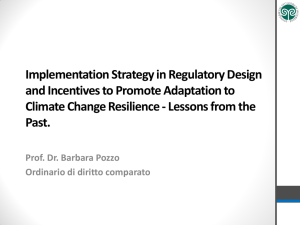 Implementation Strategy in Regulatory Design and Incentives to Promote Adaptation to