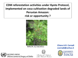 CDM reforestation activities under Kyoto Protocol, Peruvian Amazon: