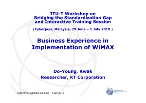 Business Experience in Implementation of WiMAX