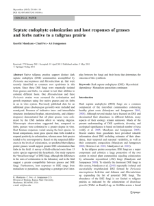 Septate endophyte colonization and host responses of grasses ORIGINAL PAPER Keerthi Mandyam