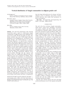 Vertical distribution of fungal communities in tallgrass prairie soil