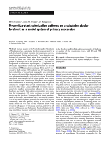 Mycorrhiza-plant colonization patterns on a subalpine glacier