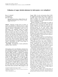 Mycologia, 92(2),  2000,  pp.  230-232.