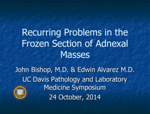 Recurring Problems in the Frozen Section of Adnexal Masses