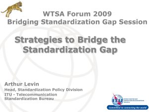 Strategies to Bridge the Standardization Gap WTSA Forum 2009 Bridging Standardization Gap Session