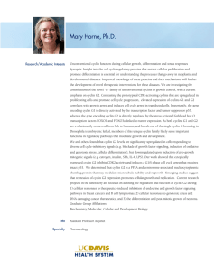 Mary Horne, Ph.D.