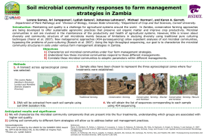 Soil microbial community responses to farm management strategies in Zambia