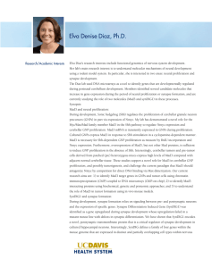 Elva Denise Diaz, Ph.D.