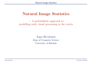 Natural Image Statistics — A probabilistic approach to Aapo Hyv¨
