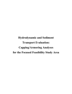 Hydrodynamic and Sediment Transport Evaluation: Capping/Armoring Analyses for the Focused Feasibility Study Area