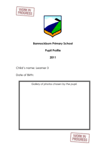 Bannockburn Primary School Pupil Profile 2011