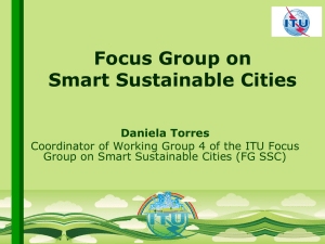 Focus Group on Smart Sustainable Cities Daniela Torres