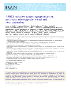 BRAIN ARNT2 mutation causes hypopituitarism, post-natal microcephaly, visual and renal anomalies