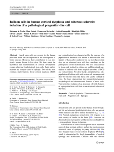 Balloon cells in human cortical dysplasia and tuberous sclerosis: