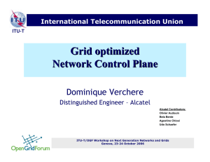 Grid optimized Network Control Plane Dominique Verchere International Telecommunication Union