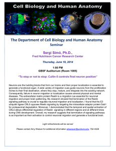 The Department of Cell Biology and Human Anatomy Seminar  Sergi Simó, Ph.D.,