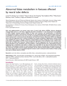 Abnormal folate metabolism in foetuses affected by neural tube defects