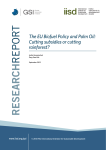 The EU Biofuel Policy and Palm Oil: Cutting subsidies or cutting rainforest? www.iisd.org/gsi