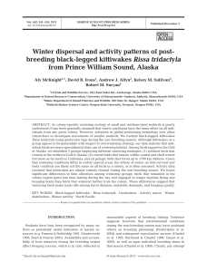Winter dispersal and activity patterns of post- breeding black-legged kittiwakes Rissa tridactyla