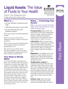 Liquid Assets of Fluids to Your Health Water … Protecting Your
