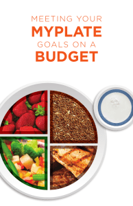 MYPLATE BUDGET MEETING YOUR GOALS ON A