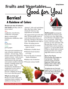 Good for You! Berries! Fruits and Vegetables.... A Rainbow of Colors
