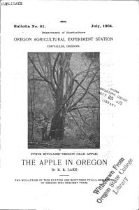 THE APPLE IN OREGON July, 1904. Bulletin No. 81. OREGON AGRICULTURAL EXPERIMENT STATION