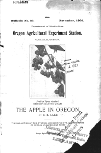 A THE APPLE IN OREGON. Oregon Agricultural Experiment Station. 1!