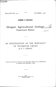Oregon Agricultural College Experiment Station AN INVESTiGATION OF THE MORTALITY OF INCUBATOR CHICKS