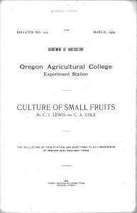 Oregon Agricultural College CULTURE OF SMALL FRUITS Experiment Station