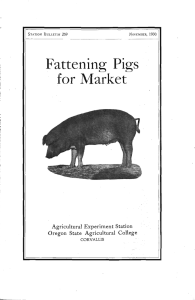 Fattening Pigs for Market Oregon State Agricultural College Agricultural Experiment Station