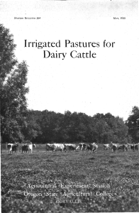 Irrigated Pastures for Dairy Cattle I MAY, 1930